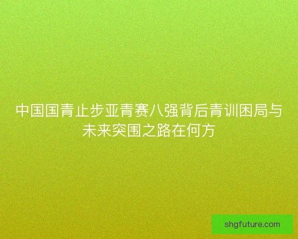 中国国青止步亚青赛八强背后青训困局与未来突围之路在何方
